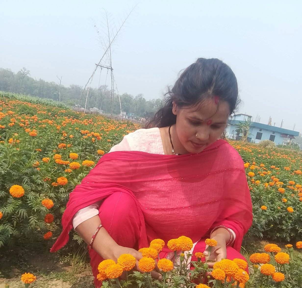 फूलखेतीबाट आत्मनिर्भर बन्दै धनगढीकी सुशीला