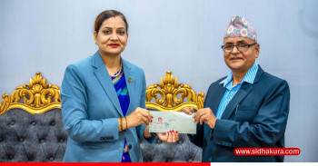 नेपाल मेडिकल काउन्सिलको अध्यक्षमा प्राडा ढुण्डीराज पौडेल