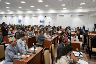 प्रतिनिधिसभा बैठक सुरु