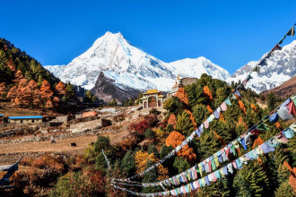 मनास्लुमा ७ फिट हिउँमा पुरिएर विदेशी आरोही र शेर्पा गाइडको मृत्यु