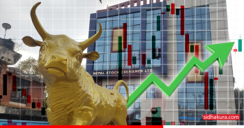 नयाँ वर्षलाई नेप्सेको हरियो स्वागत, २०८३ को पहिलो कारोबारको दिन ३३ अंकले बृद्धि