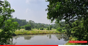 शुक्लाफाँटामा हराएका १४ महिला रातभरि बसेका थिए रुखको ओतमा