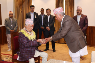 राष्ट्रपतिले गुरु पुरोहितबाट लगाए दसैंको टीका र जमरा