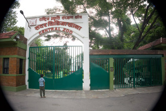 जावलाखेलस्थित सदर चिडियाखानामा बर्डफ्लू देखिएपछि बन्द (तस्बिरहरु)
