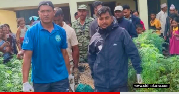 समस्याग्रस्त वन्यजन्तु नियन्त्रणमा लिन एनटिएनसीद्वारा प्राविधिक टोली परिचालन