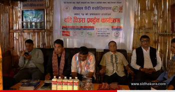 यस वर्ष असार १५ मा ७५ लाख लिटर दही खपत हुने अनुमान