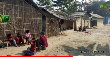 समस्याले झेलिएको मुसहर बस्ती, 'न व्यवस्थित घर, न शौचालय'