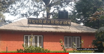 पशुपति क्षेत्र विकास कोषको नयाँ नियमावली जारी, कार्यकारी निर्देशक पद नरहने
