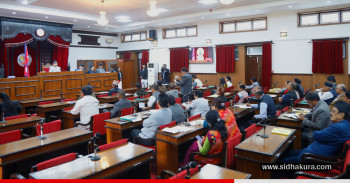 राष्ट्रियसभाबाट निर्वाचनसम्बन्धी २ विधेयक पारित