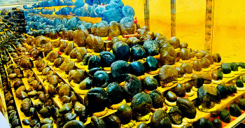 धार्मिक पर्यटकका लागि आकर्षक गन्तव्य बन्दै शालग्राम सङ्ग्रहालय