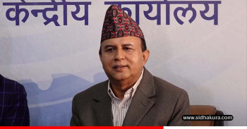 ओलीबारे प्रतिवेदनमार्फत के भनेका छन् शंकर पोखरेलले ?