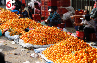 कालीमाटीमा सुन्तलाको व्यापार, पाँच केजीको मूल्य रु २५० देखि ५५० सम्म(तस्बिरहरु)