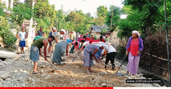टोल विकास संस्थालाई निर्माण उपभोक्ता समितिको कामको जिम्मा