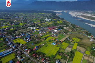 तोरी फुलेपछि पहेँलपुर चितवन (तस्बिरहरु)