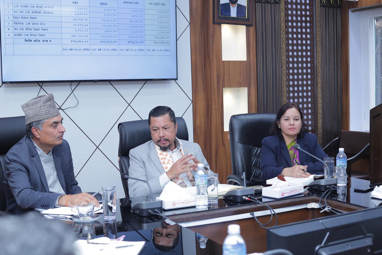 अलपत्र तथा रुग्ण आयोजनाहरूको पुनरावलोकन गर्दै उर्जा मन्त्रालय