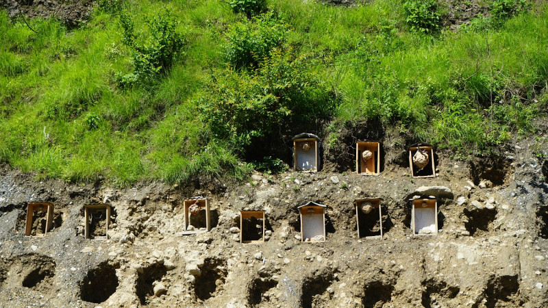 म्याग्दीमा व्यावसायिक अरिङ्गालपालन, कतिमा हुन्छ काराेबार ?
