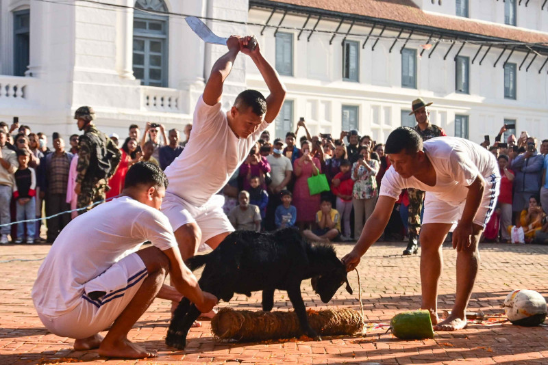 बसन्तपुरस्थित हनुमानढोका परिसरमा बोका र राँगाको बलि (तस्बिरहरु)