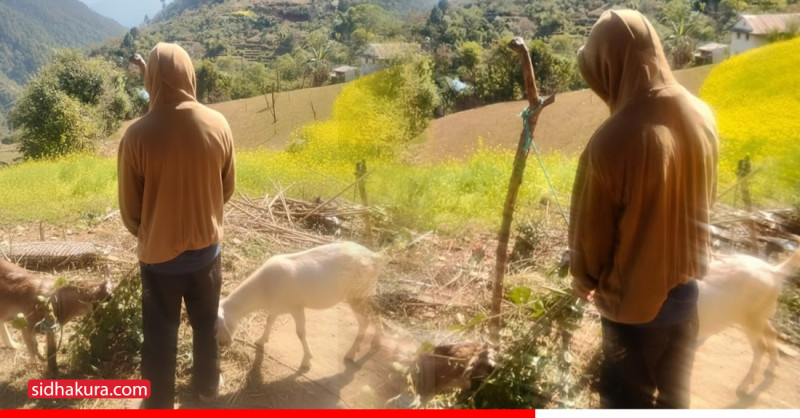 ‘जब स्कुलले थर फेरिदियो, विजयले पढ्नै सकेनन्’