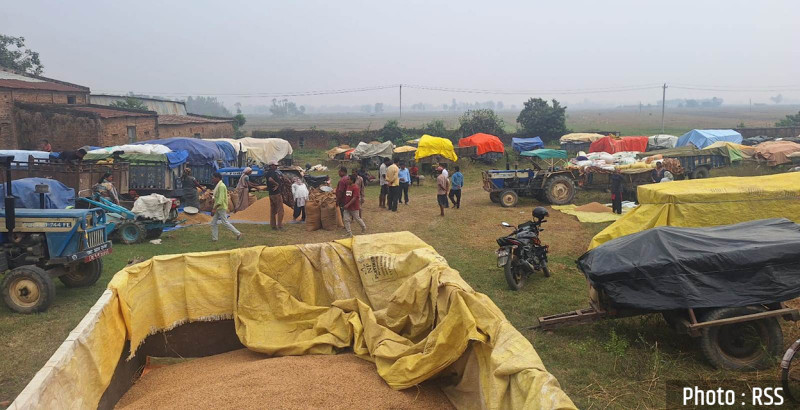 धान बेच्न किसान रातभर लाइनमा, सरकारी खरिद केन्द्रमा भीड