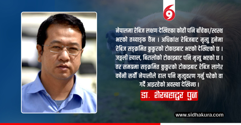 के रेबिज खोप चौबिस घण्टाभित्र लगाइसक्नुपर्ने हो ?