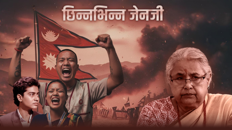 छिन्न-भिन्न जेनजी, भिन्न-भिन्न पार्टी