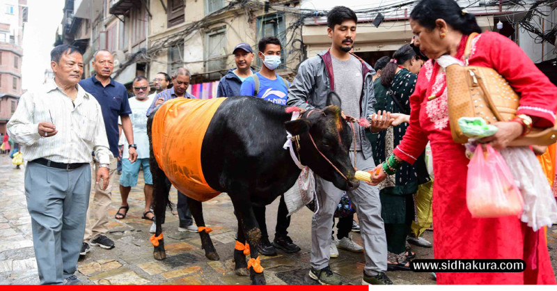 दिवंगत भएका आफन्तको सम्झनामा गाइजात्रा मनाइँदै (तस्विरहरु)