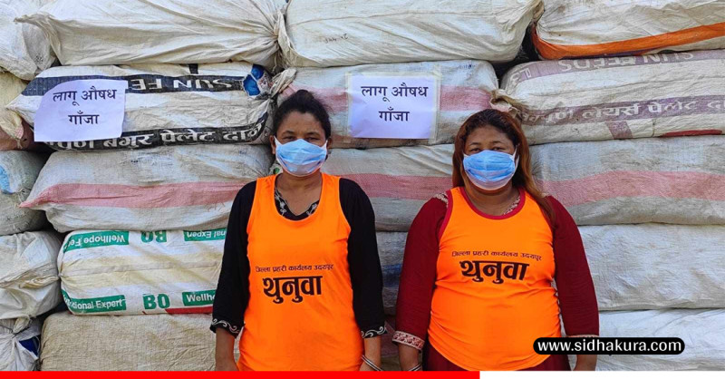 ११ सय ४३ किलो गाँजा सहित २ जना पक्राऊ