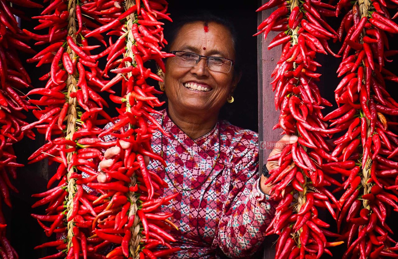 रातो खुर्सानीको घुम्टो ओढेको खोकना (तस्विरहरु)