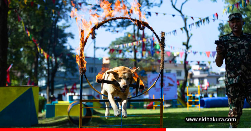 नेपाली सेनाको भैरव बाहन गुल्ममा देखिएको डगकला (तस्विरहरु)