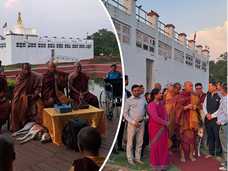 अलोका कुकुरसहित लुम्बिनी आइपुग्यो 'वाक फर पिस' भिक्षुहरुको टोली