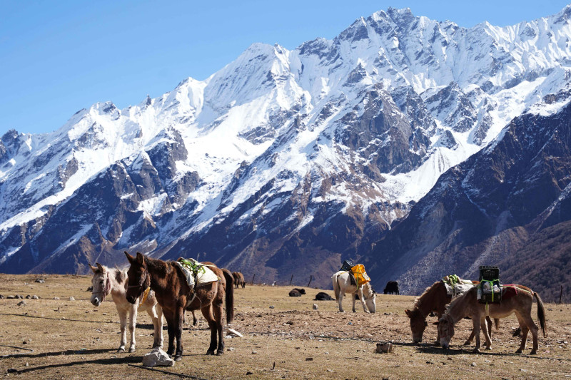 मनमोहक हिमशृङ्खलाको अवलोकन गर्दै गर्न सकिने लाङटाङ पदमार्गका सुन्दर तस्बिरहरु