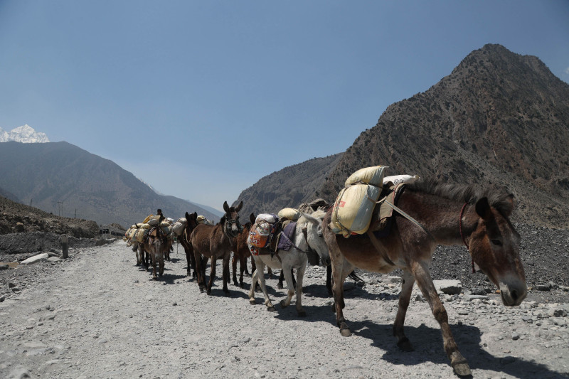 रसुवा बाढीपछि मुस्ताङमा पर्यटक आगमन झण्डै आधाले घट्यो