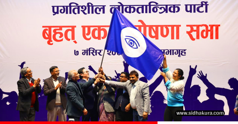 प्रगतिशील लोकतान्त्रिक पार्टी घोषणा, ७ सदस्यीय अध्यक्ष मण्डल रहने