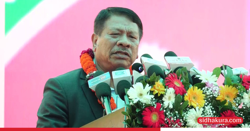 निजामती विधेयकमाथि चलखेल गर्नेलाई कारबाही हुनैपर्छः उपप्रधानमन्त्री सिंह