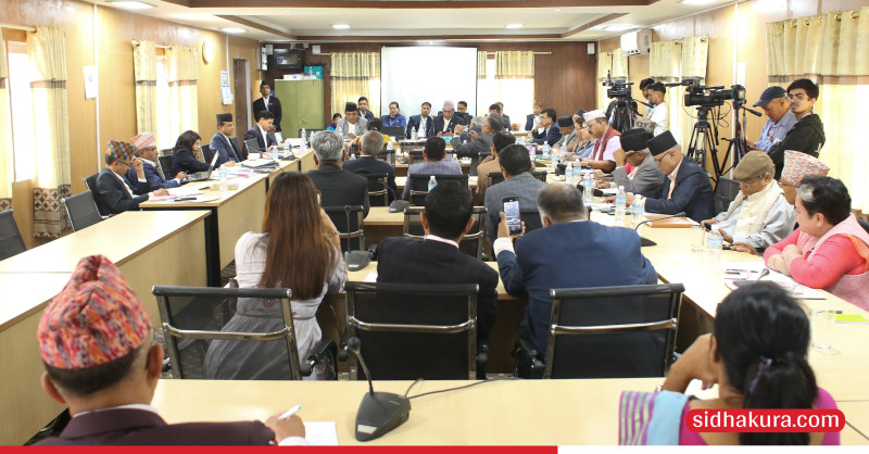 आफूहरुलाई राज्यका निकायले चिन्ने नेपाली नागरिकता दिइनुपर्ने एनआरएनएको माग