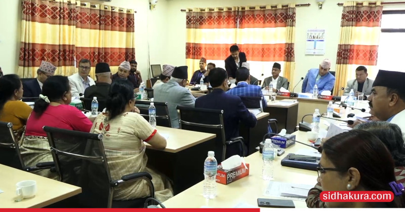 राज्य व्यवस्था समितिबाट सङ्घीय निजामती सेवा विधेयक परिमार्जन सहित पारित
