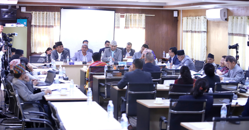 नागरिकता विधेयकमाथि संशोधनकर्तासँग छलफल सम्पन्न