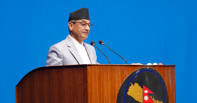 भिजिट भिसा प्रकरणः यस्ता छन् छानबिन समितिलाई दिइएको ९ बुँदे कार्यादेश