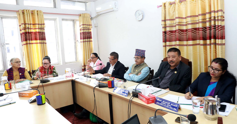 मनसुनअघि नै जोखिमको आँकलन गरेर पूर्वतयारी थाल्न सरकारलाई निर्देशन