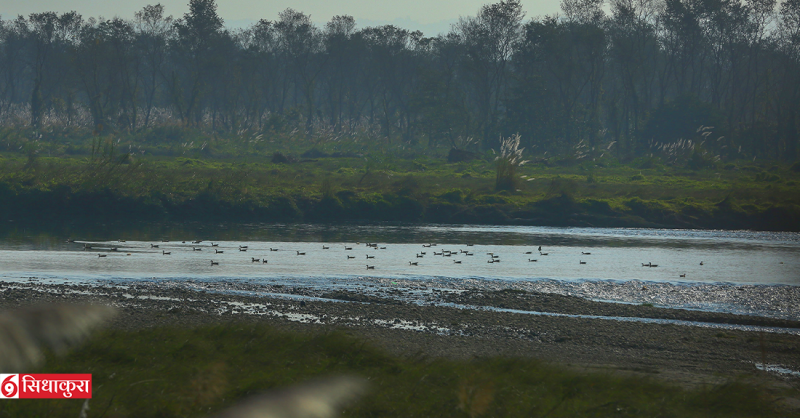 सौराहामा आन्तरिक पर्यटक घटे