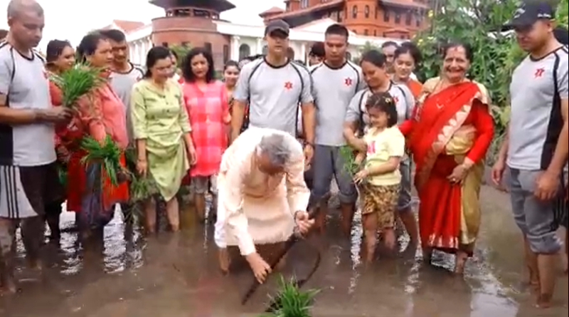 धान दिवसको दिन राष्ट्रपति भवन शीतल निवासमा रोपाईँ