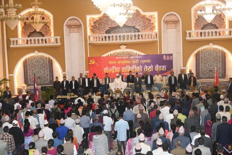 बैठकमा व्यवधान नपुर्‍याउन स्वयंसेवकलाई ओलीको निर्देशन