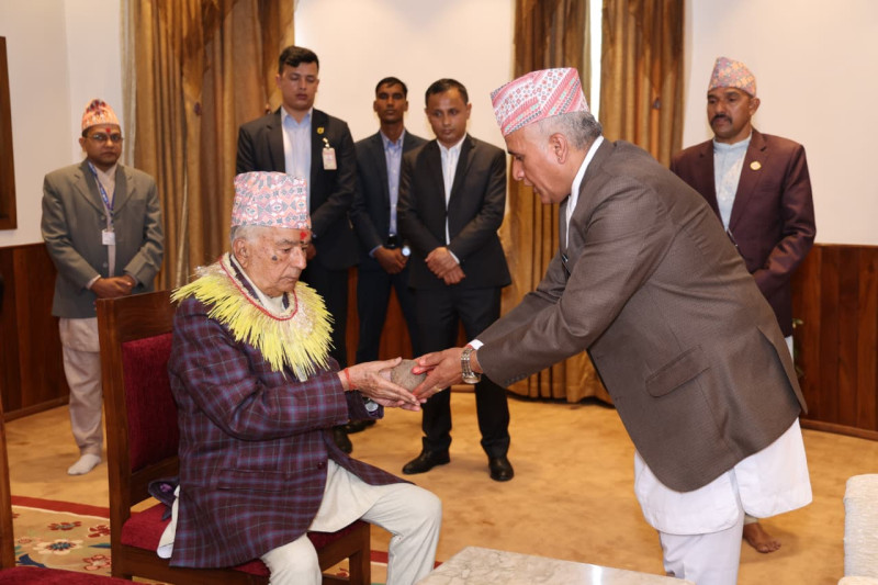 राष्ट्रपतिले गुरु पुरोहितबाट लगाए दसैंको टीका र जमरा