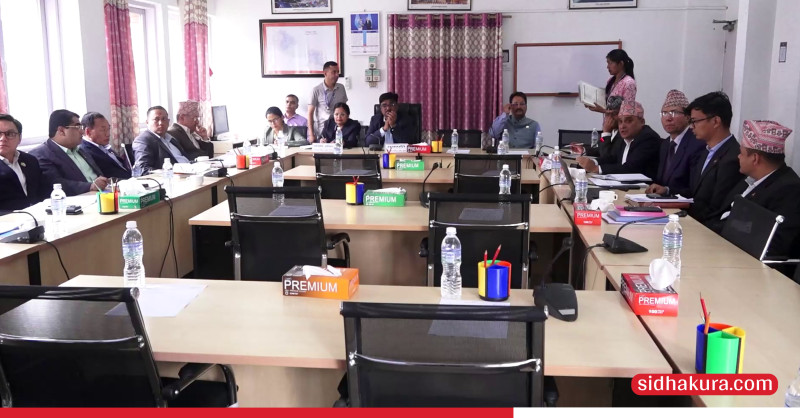उड्डयन सम्बद्ध २ विधेयकलाई यथाशीघ्र अगाडि बढाउन पर्यटन समितिमा पर्यटन मन्त्रीको आग्रह