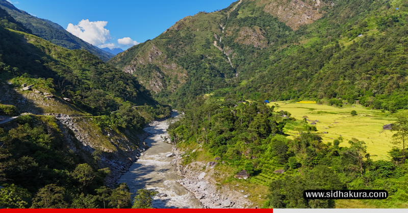 माथिल्लो अरुण आयोजना निर्माणका लागि दुई हजार बढी रुख काटियो