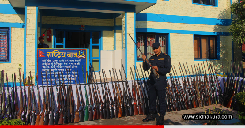म्याग्दीमा एक सय पन्ध्र थान बन्दुक बरामद