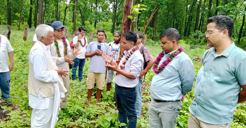 सामुदायिक वनः ग्रामीण विकासका आधार