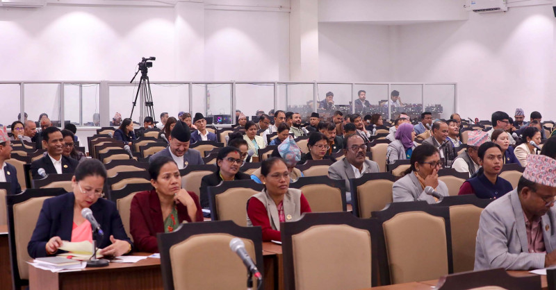 प्रतिनिधिसभाबाट सात विधेयक दफाबार छलफलका लागि समितिमा पठाइयो