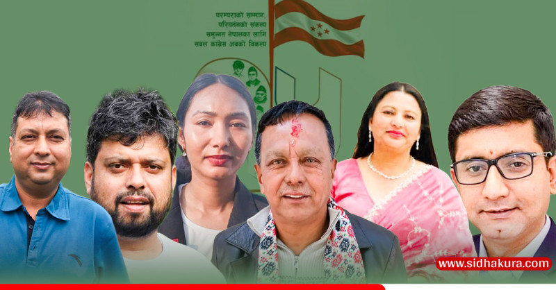 कांग्रेस महाधिवेशनमा पत्रकारिता पृष्ठभूमिका छ उम्मेदवार