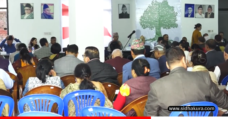 पार्टीको पन्ध्रौँ महाधिवेशनका सम्बन्धमा नेतृत्व गम्भीर हुनुपर्ने कांग्रेसका केन्द्रीय सदस्यहरुको सुझाव